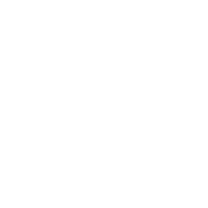 Bulb Icon